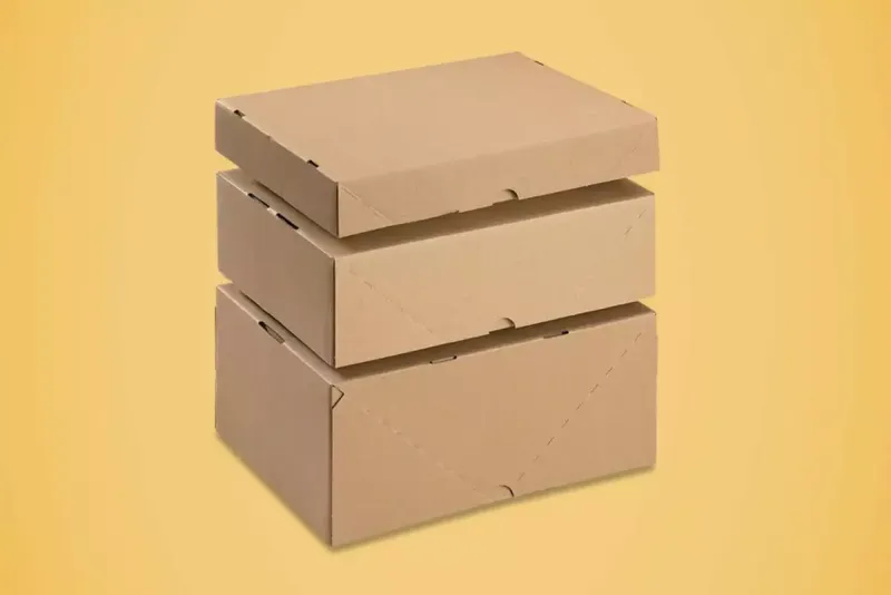 Paraatdozen - kartonnen dozen met deksel